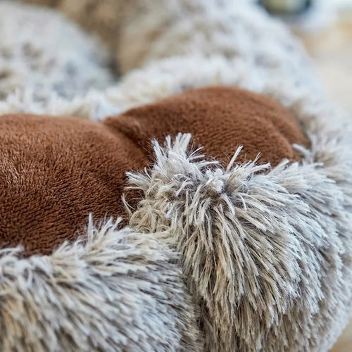 Bear Paw Pet Bed: Your Furry Friend's Dream Cloud!
